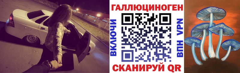 Галлюциногенные грибы мухоморы  дарнет шоп  Княгинино 